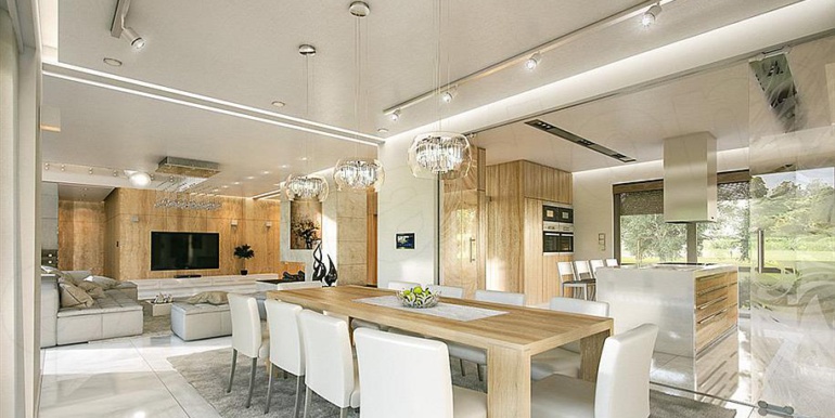 z-proiect-de-casa-moderna-cu-acoperis-plat-design-interior-sala-de-mese