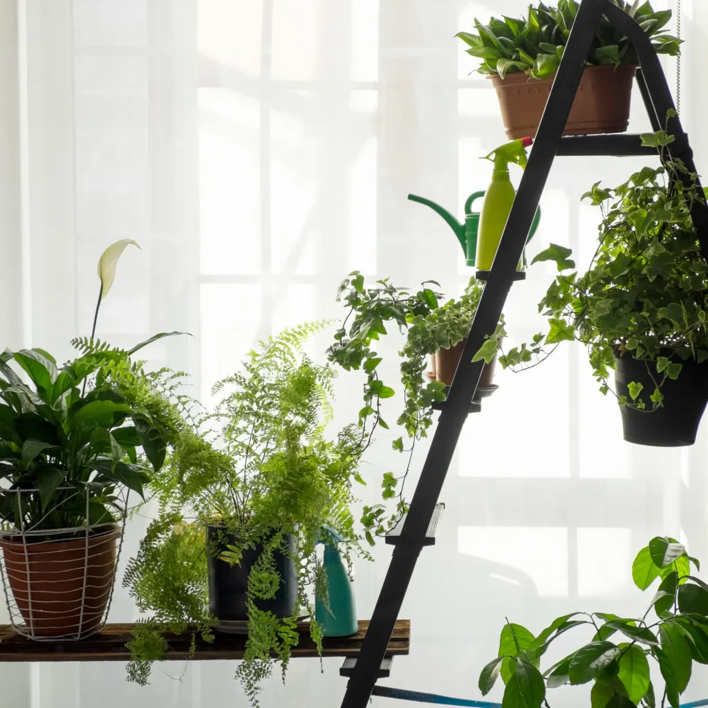 Arranging plants on a windowsill or a shelf on a ladder near a window ensures that your indoor garden will get as much sunlight as possible.