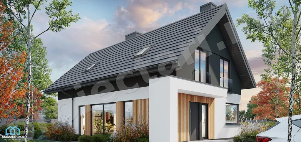 proiecte case moderne mici