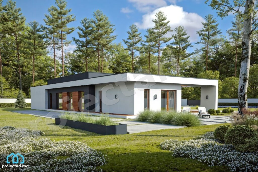 Proiect casa parter