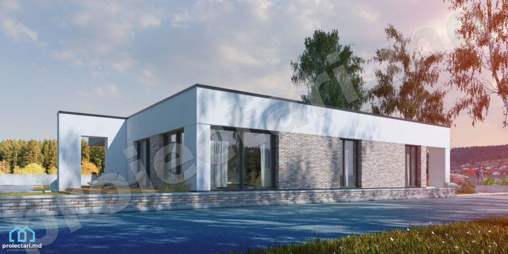 proiecte casa parter