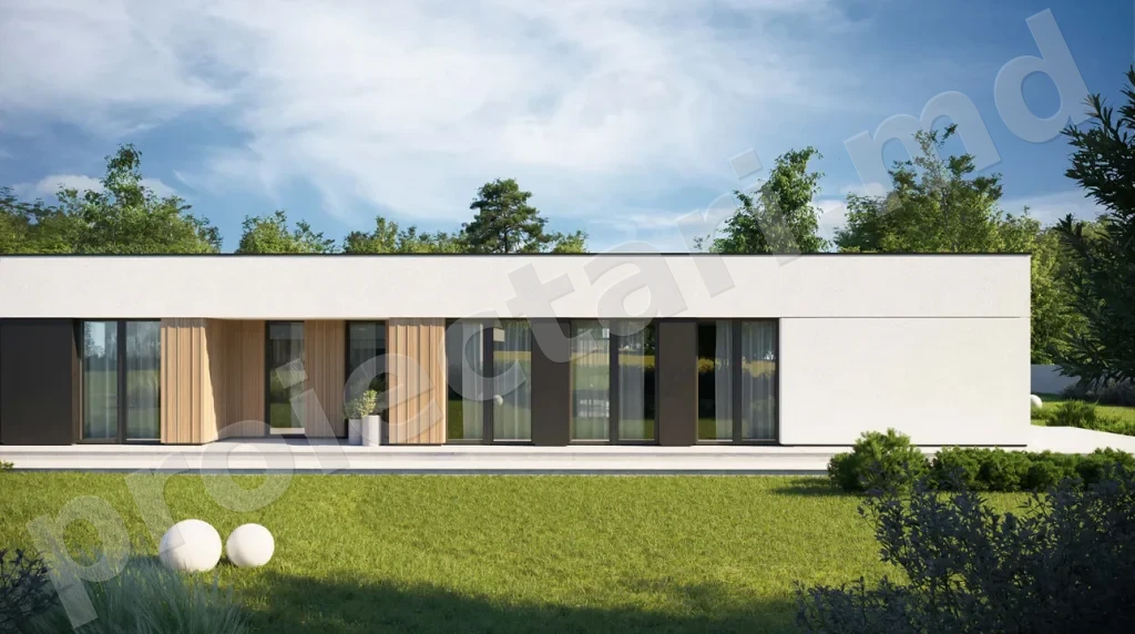 Case parter cu living spatios
