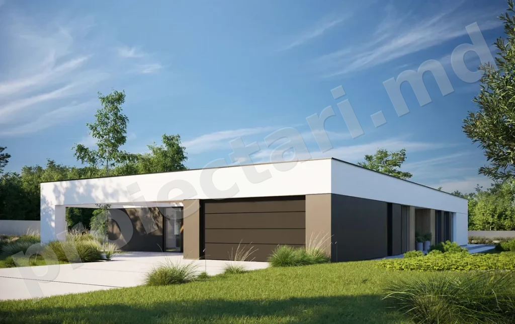 Case parter cu arhitectura moderna