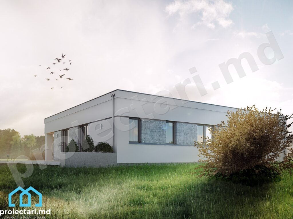 Planuri de casa cu parter 128m2