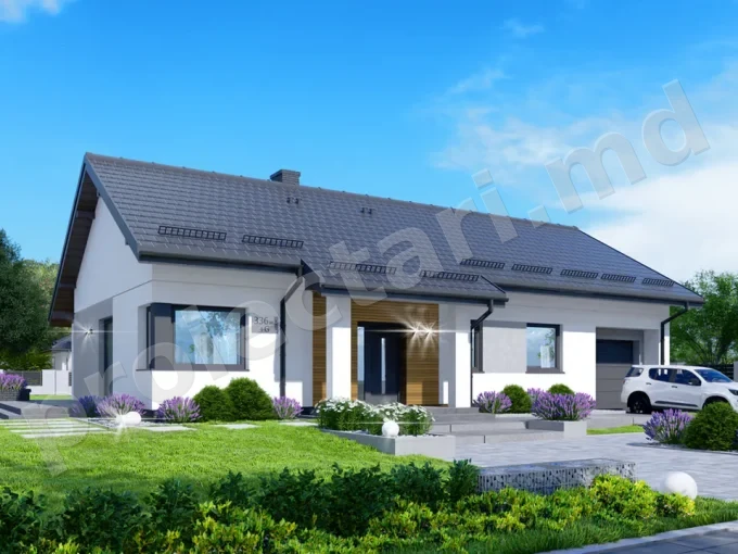 Proiect de casa cu parter si piscina 100m2