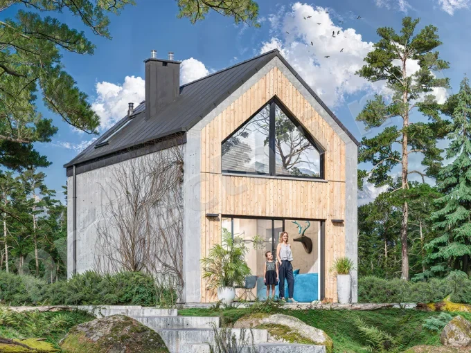 Proiect de casa cu mansarda 60m2