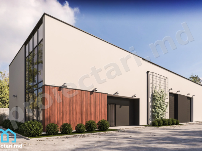 Proiect hala depozitare sala comerciala 550m2