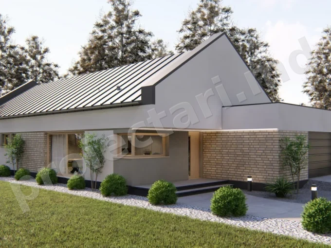 Proiect de casa cu 1 nivel si piscina 130m2