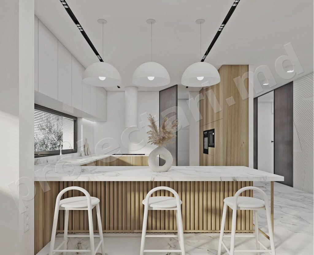 Design vilă cu subsol 446m2