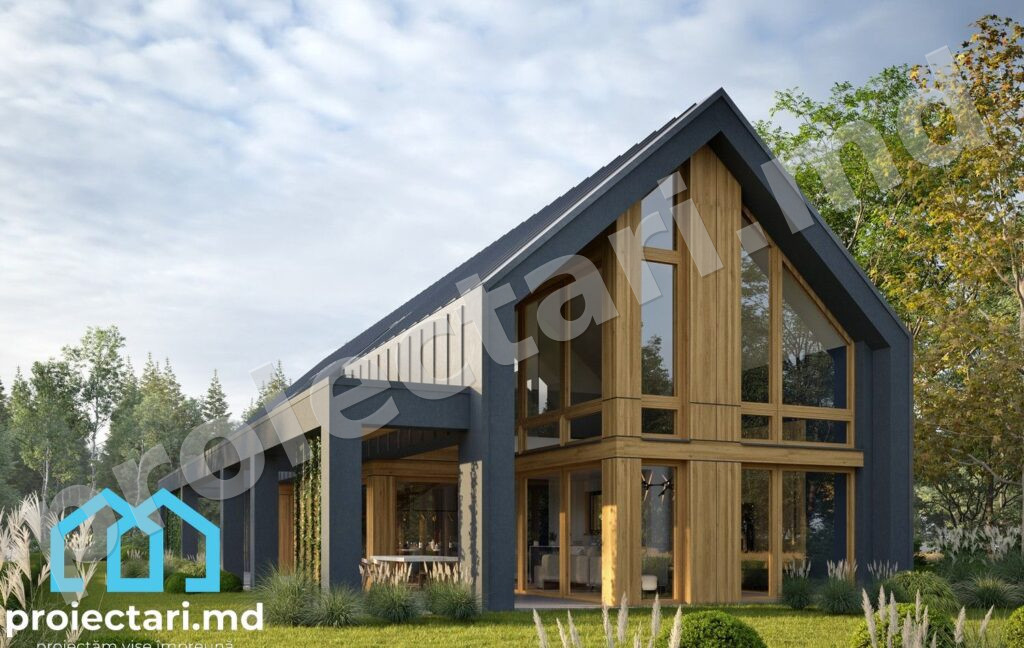 Case Barnhouse din lemn