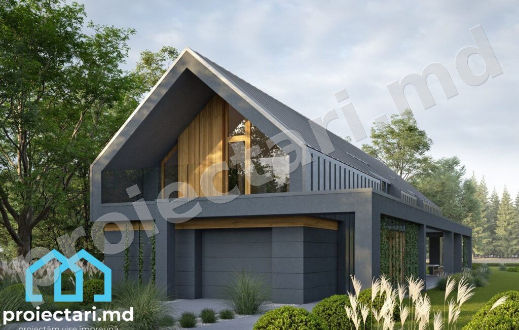 Proiect Barnhouse modern