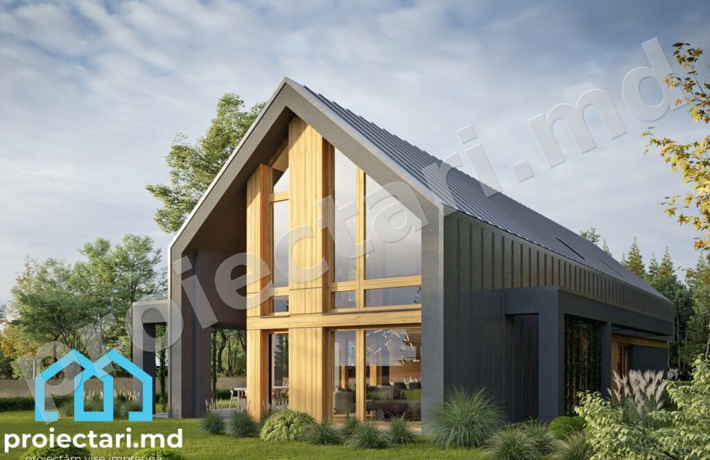 Proiecte Barnhouse minimaliste
