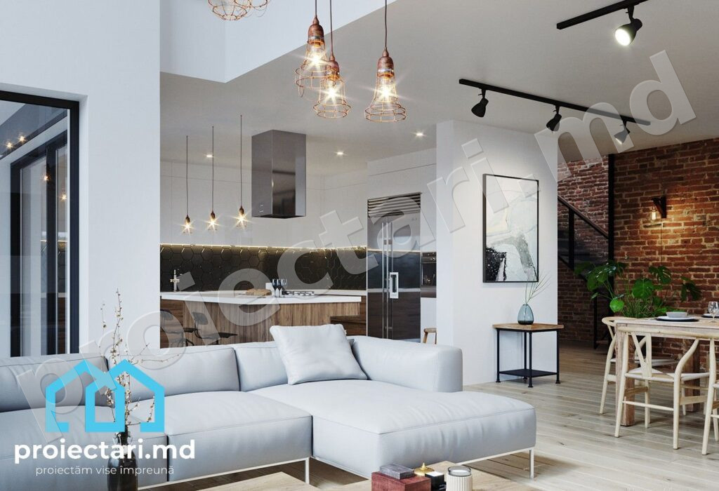 Design Salon Casă Barnhouse cu mansardă (2)