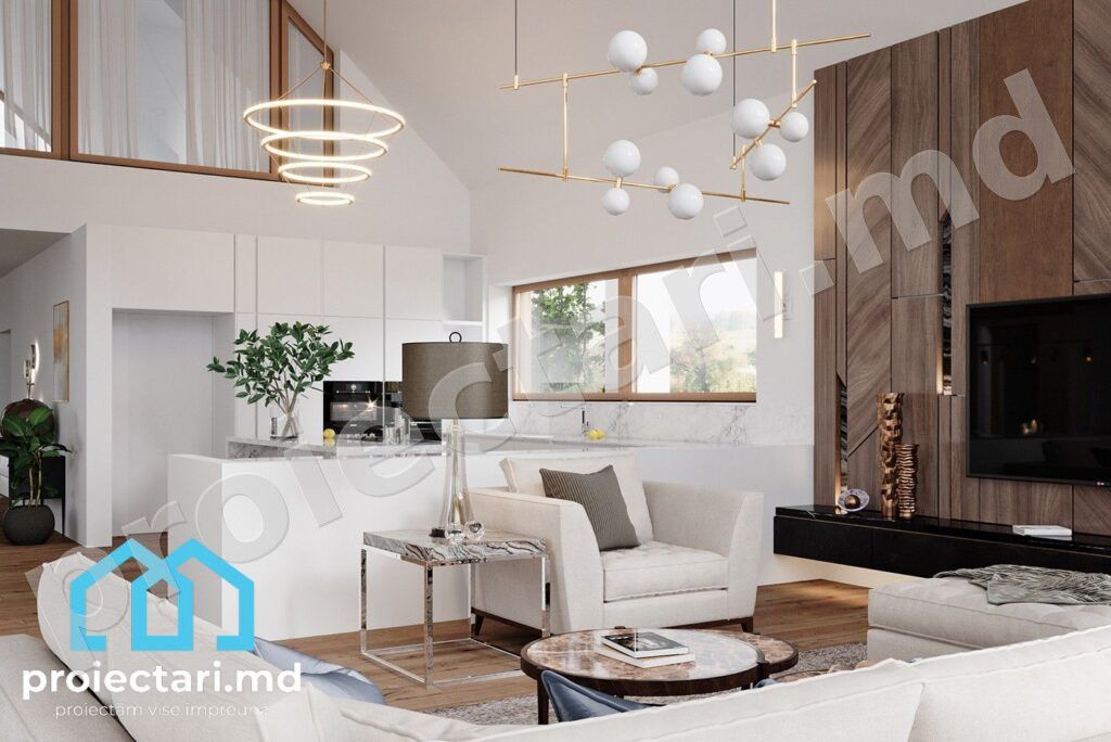 Design salon Proiect Barnhouse cu mansardă și terasă