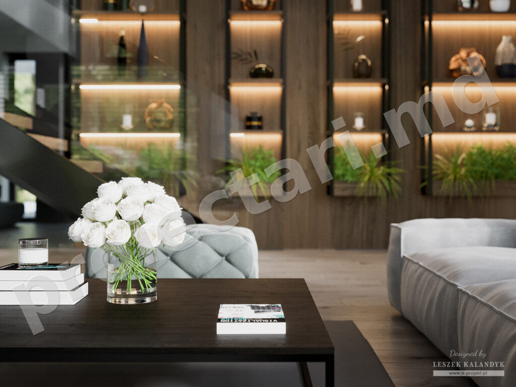 design casa cu etaj