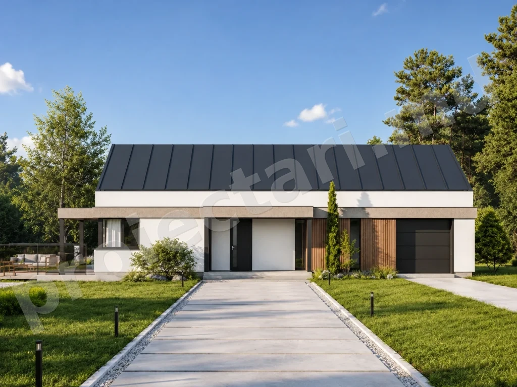 proiect casă modernă barnhouse